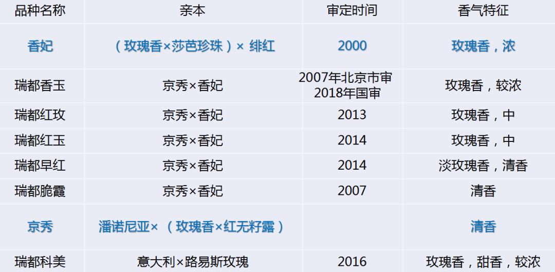 2022年有哪些新葡萄品种,2019葡萄新品种介绍