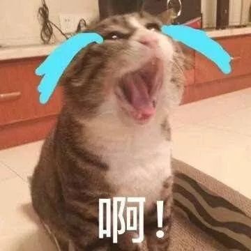 不去澳门可以去拱北口岸买东西吗,去澳门消费关注事项