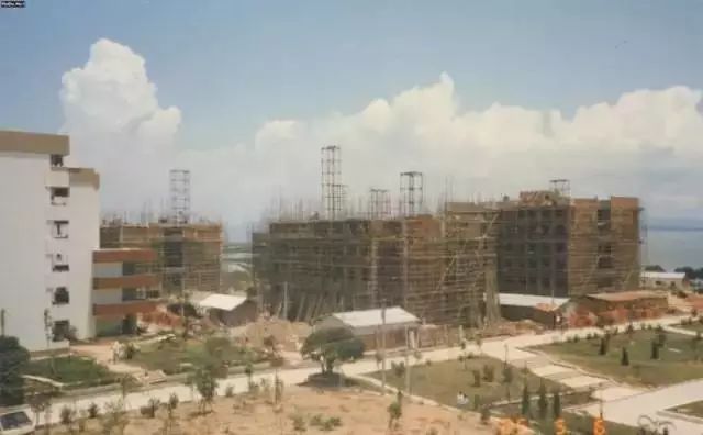 中国进步最快高校！深圳大学到底有多牛？