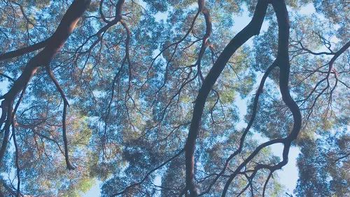 中国进步最快高校！深圳大学到底有多牛？