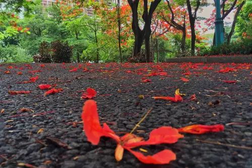 中国进步最快高校！深圳大学到底有多牛？