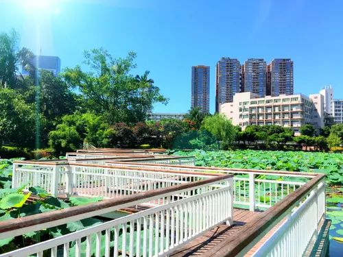 中国进步最快高校！深圳大学到底有多牛？