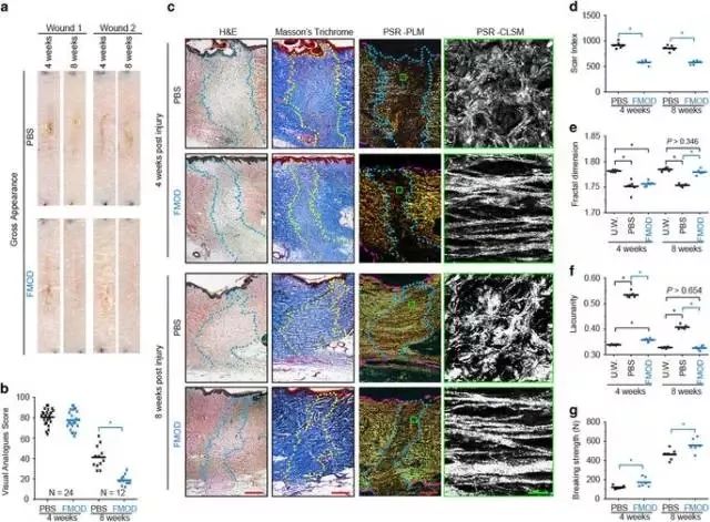 angelababy朝镜头走过来原视频ins,insangelababy