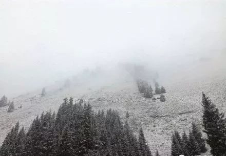 今天下午以及明天沈阳的天气,今明两天沈阳有大雨吗