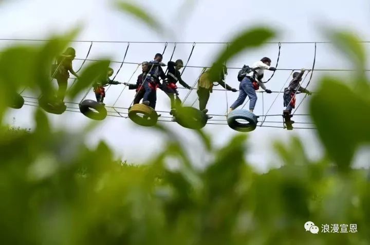 炎陵手工茶麸皂,手工茶皂