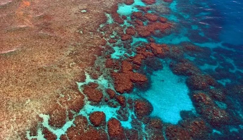 出入境旅游禁止携带的物品,去国外禁止携带哪些东西