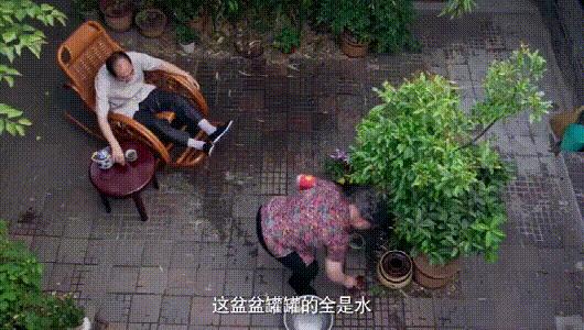 深圳罗湖灭鼠,除虫灭鼠深圳