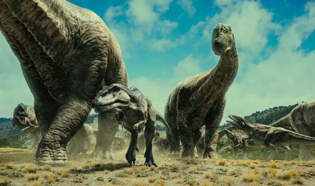 霸王龙南方巨兽龙三角龙,升级版的霸王龙对战南方巨兽龙