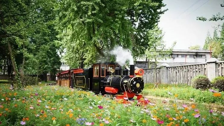 南充今日要闻,今天四川南充热议