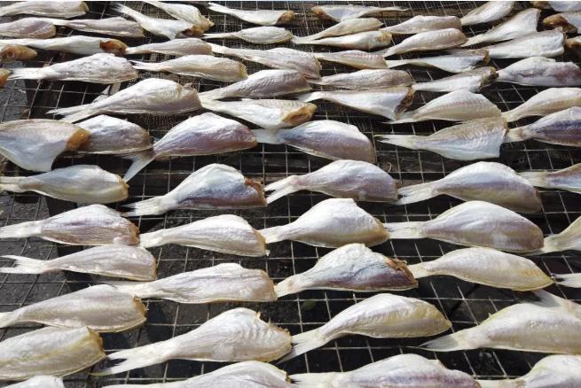 海鲜市场10元一只生蚝,海鲜生蚝一元一个