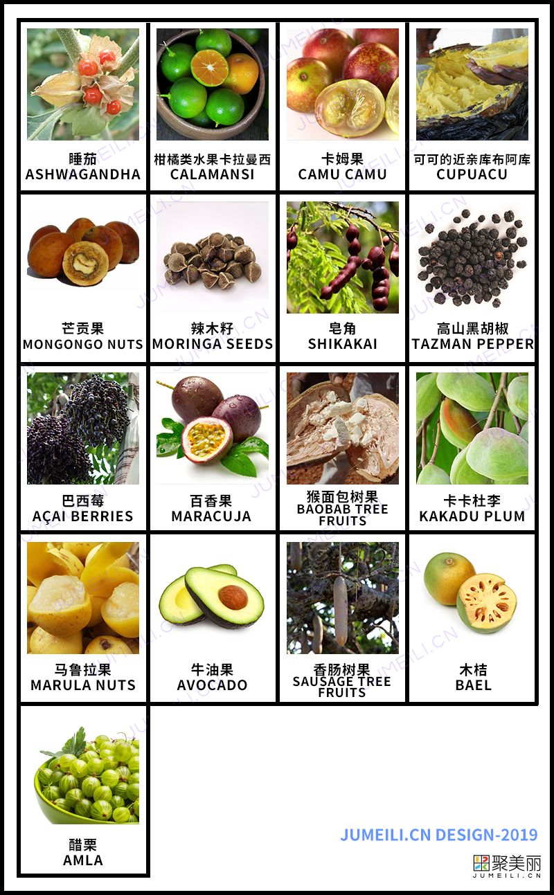 牛油果是如何风靡全球的,牛油果市场有前景吗