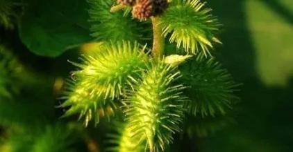 热水泡脚是养生，还是慢性自杀？取决于你是否是这3类人