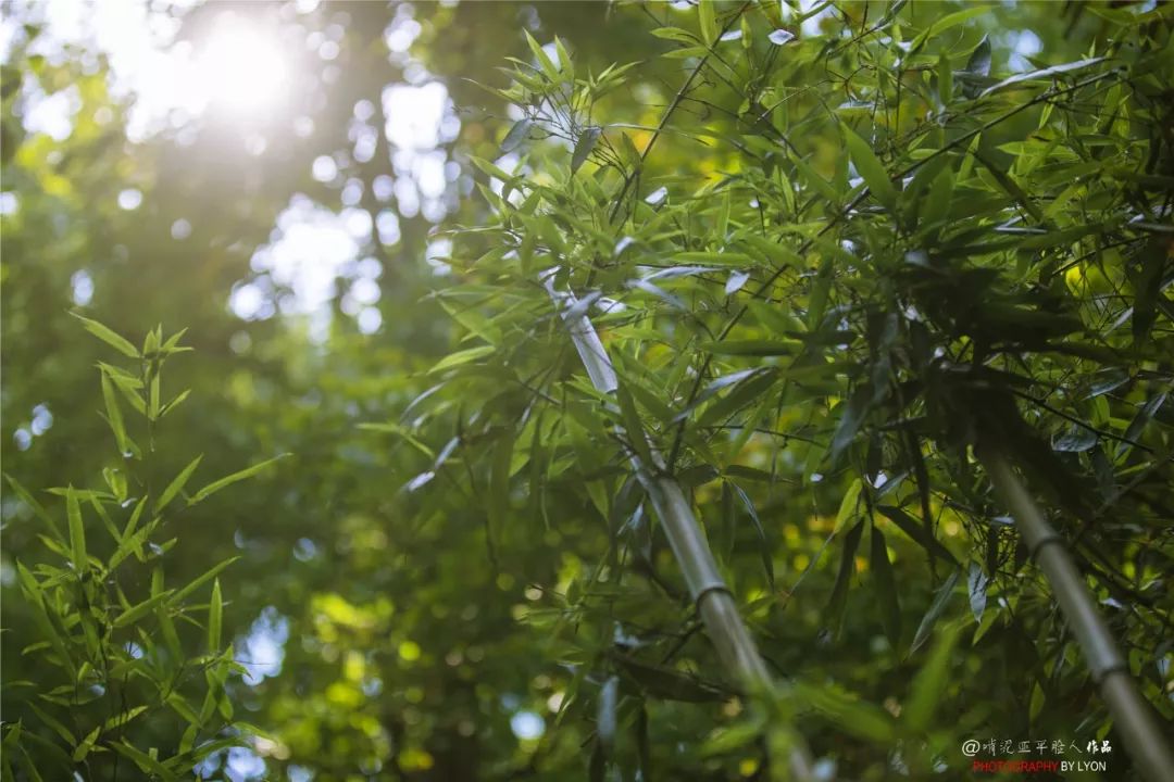 金陵由来的三种猜想,金陵的简介