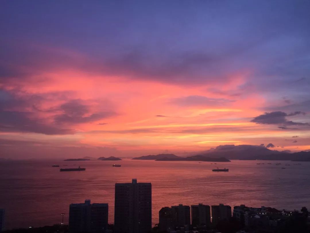 “在港大读了四年的我，想告诉你最真实的香港。”