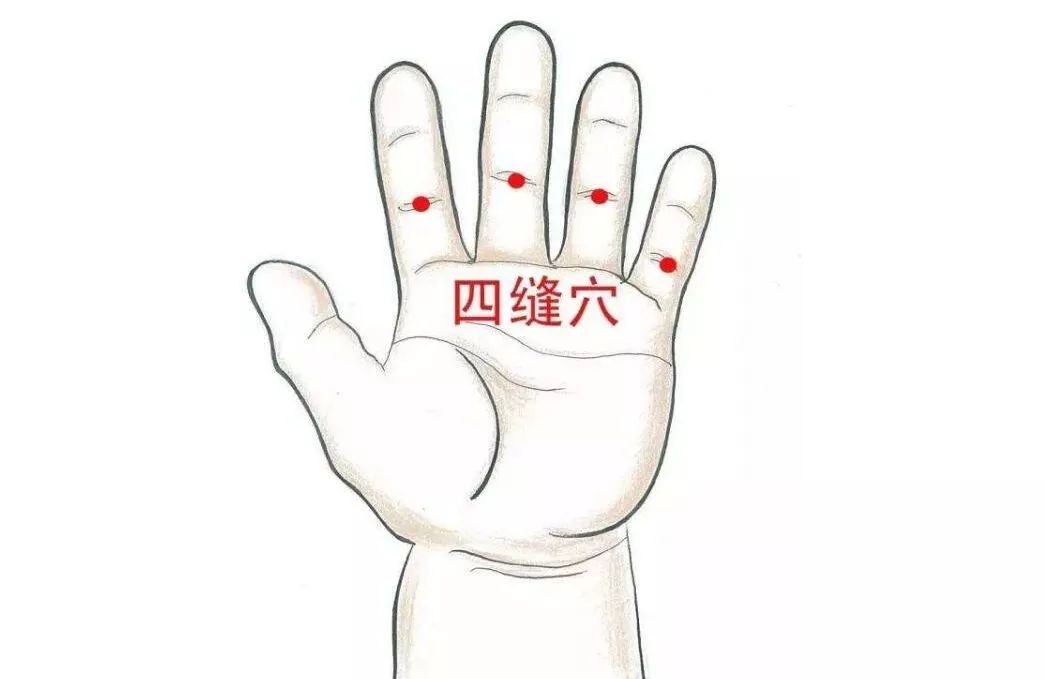 【中医老张说】第21期｜宝宝“胃强脾弱”的中医疗法及药膳调理