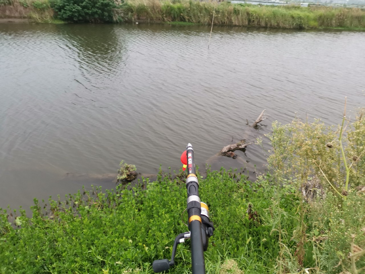 野河大板鲫钓着过瘾还好吃,野河大板鲫喜欢吃什么样的饵料