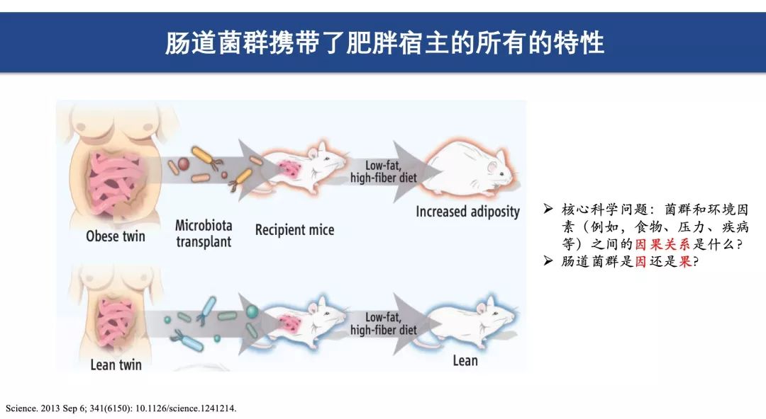 谢黎炜：肠道菌群——肥胖治疗新思路|CSE2019