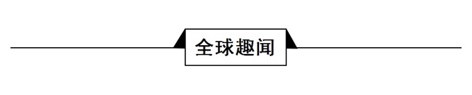 董明珠雷军谈价格战,董明珠谈雷军互联网