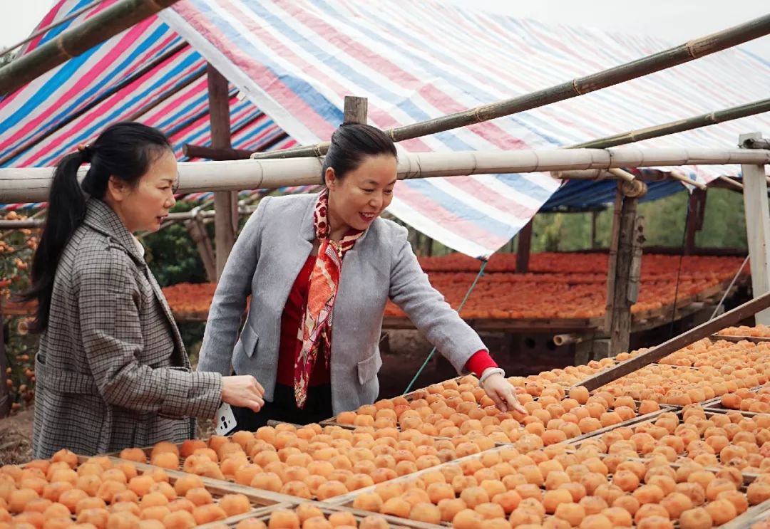 壮丽70年·广西农信丨初心是乡村振兴的“农信力量”！一张“老存折”见证一座村庄的蜕变
