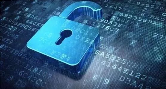 “最性感”的病毒——MSN性感鸡丨专栏