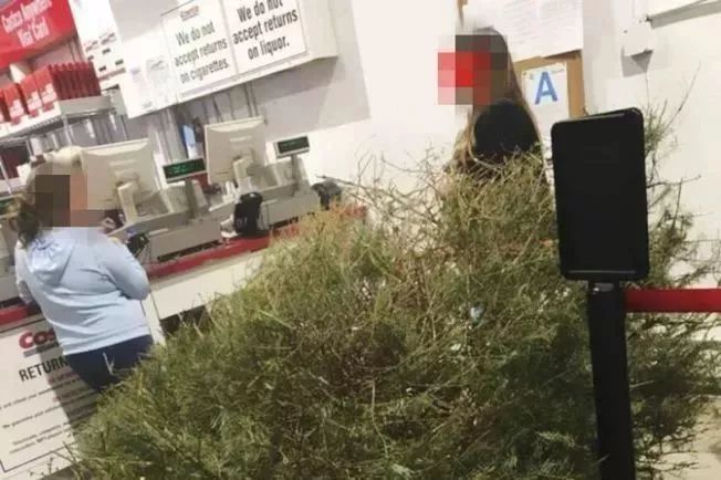 超市怪物,超市怪物完整版