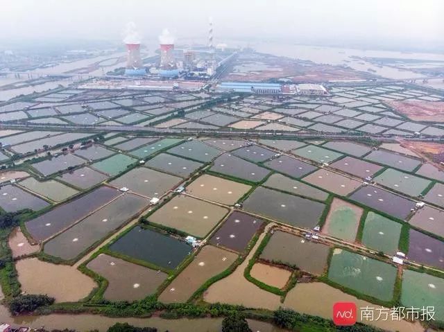 关于深圳房子被拆后续,深圳房子被拆最新消息