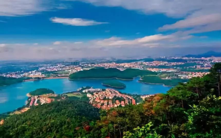 权威发布|这样的花都，太上头了！