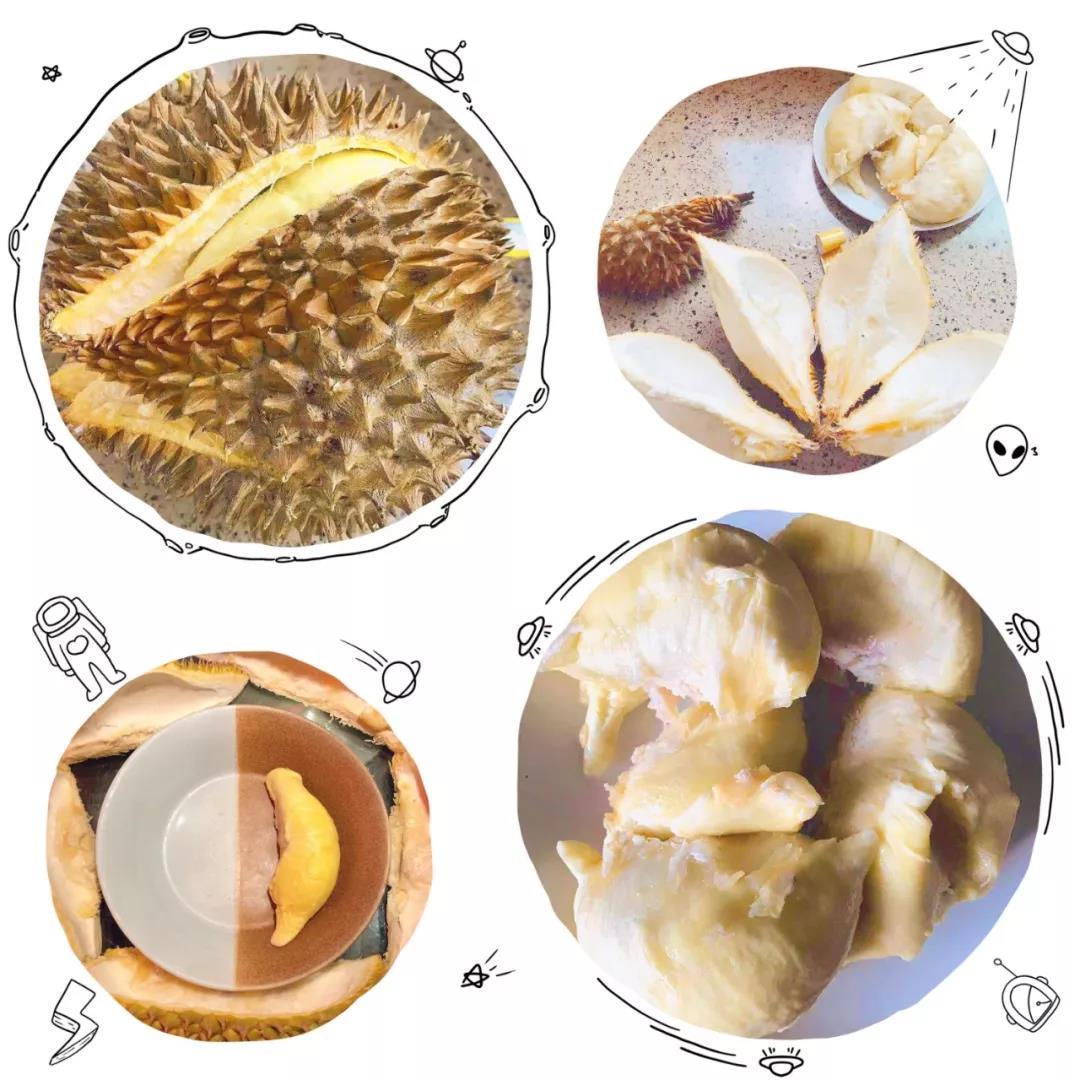 榴莲没熟的正确催熟方法,榴莲没熟开了该怎么催熟