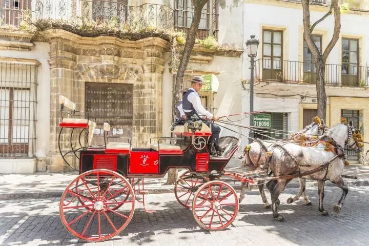 秋天来临前的预兆,秋天来临之前