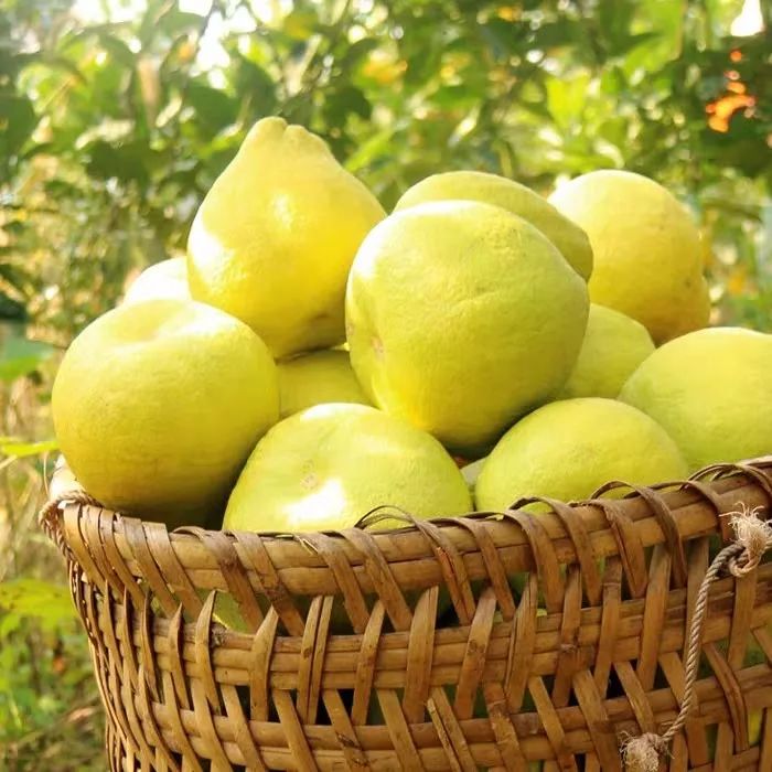 用手机就可以随时赚钱,手机就能赚钱