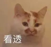 求求你做个人吧粤语怎么说,想当网红真的不容易