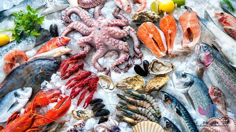 桃子跟什么一起吃会中毒,桃子和酒一块吃会中毒吗