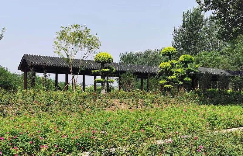 通州最新规划即将公示,通州区今年的重要的工程