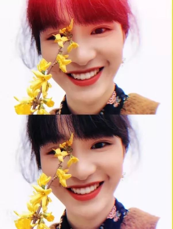 一站到底机长组合,一站到底飞机机长