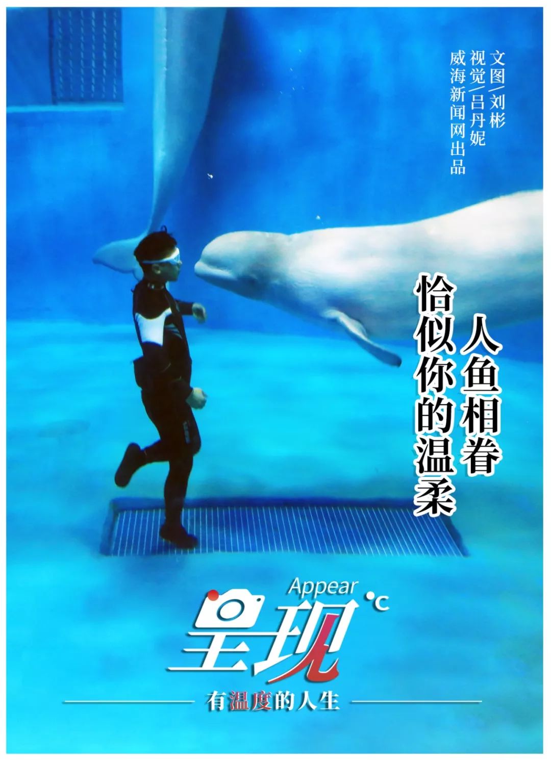 显现|从海军战士到“海豚恋人”，人鱼相眷，恰似你的温柔……