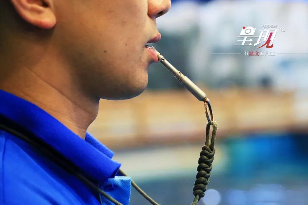 显现|从海军战士到“海豚恋人”，人鱼相眷，恰似你的温柔……
