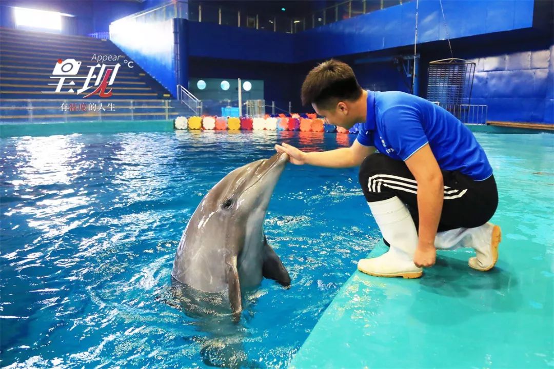 显现|从海军战士到“海豚恋人”，人鱼相眷，恰似你的温柔……