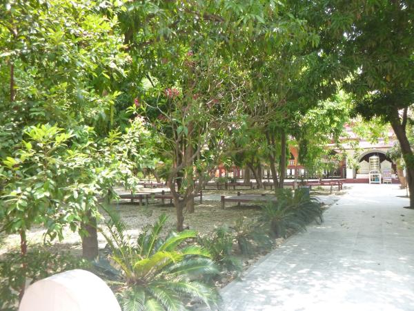 茅海建谈文化,茅海建讲座视频