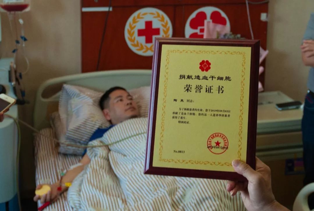 刚刚，数字滚到了497！这封感谢信，看哭了许多人