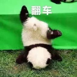 哺乳期宝宝过敏妈妈吃什么食物好,宝宝食物过敏辅食没添加上