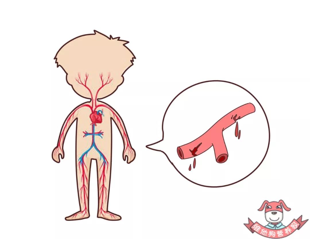 熬夜三年如何彻底改变作息,经常熬夜的人三班倒受得了吗