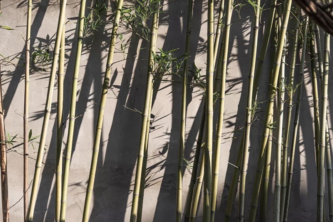 蓬莱主题度假酒店,蓬莱隐居人文度假酒店