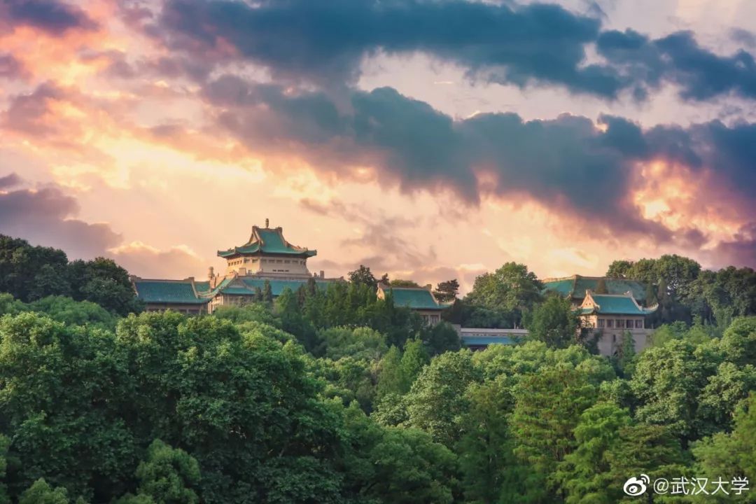 七月的星空流光溢彩,七月的星空