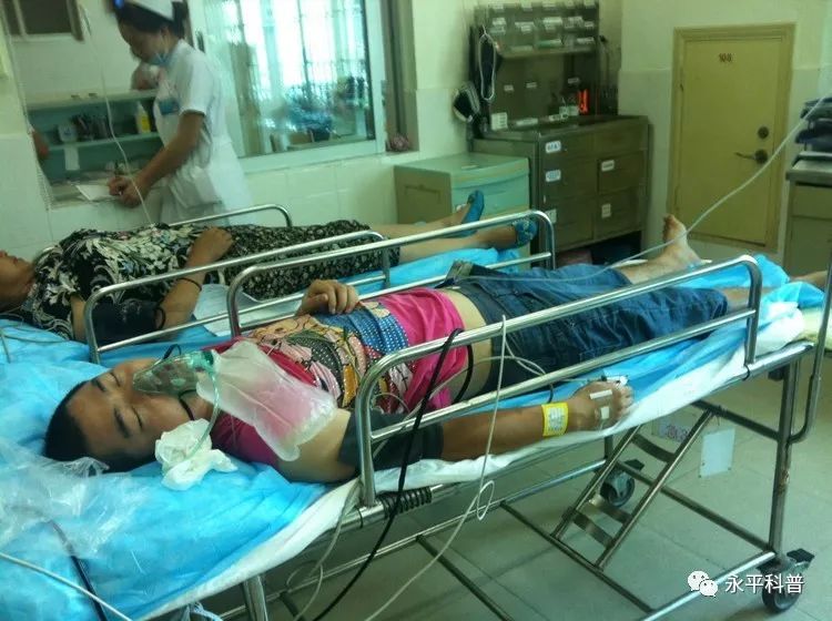 中毒急救速查,药物中毒的家庭急救科普视频