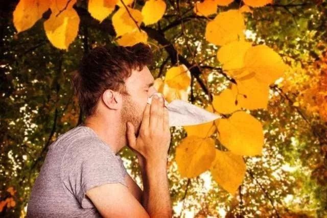秋季过敏有什么药方,秋季过敏的最佳解决方法