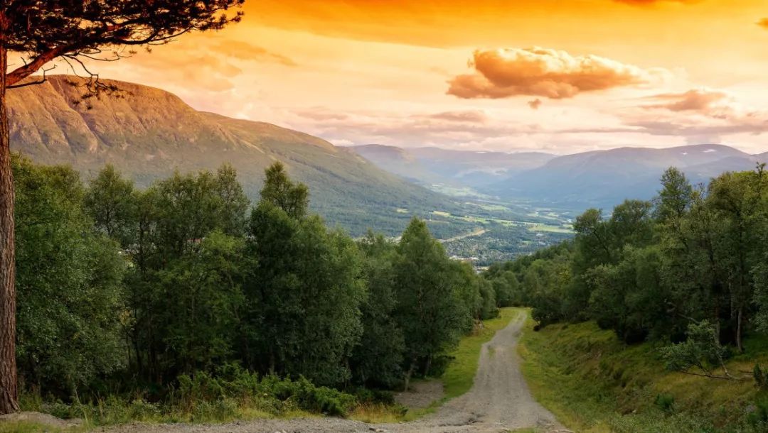 挪威的特别之处,真实的挪威