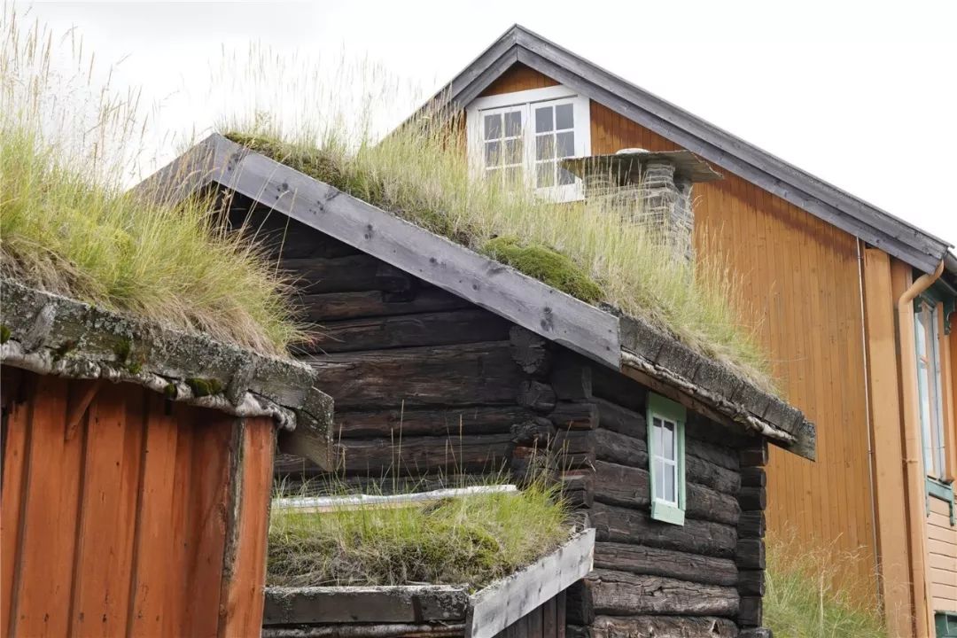 挪威的特别之处,真实的挪威