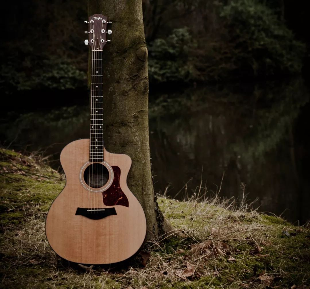 助睡眠神曲强效催眠曲,失眠时适合听的助眠歌曲