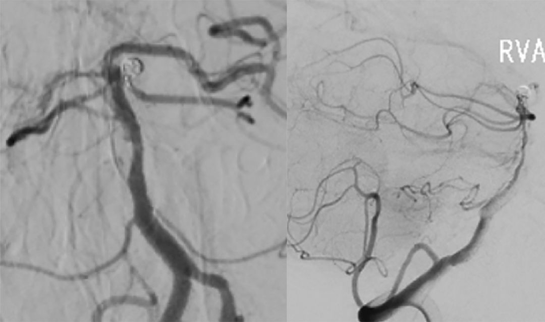 穆如清风的完结作品,穆如清风最新视频