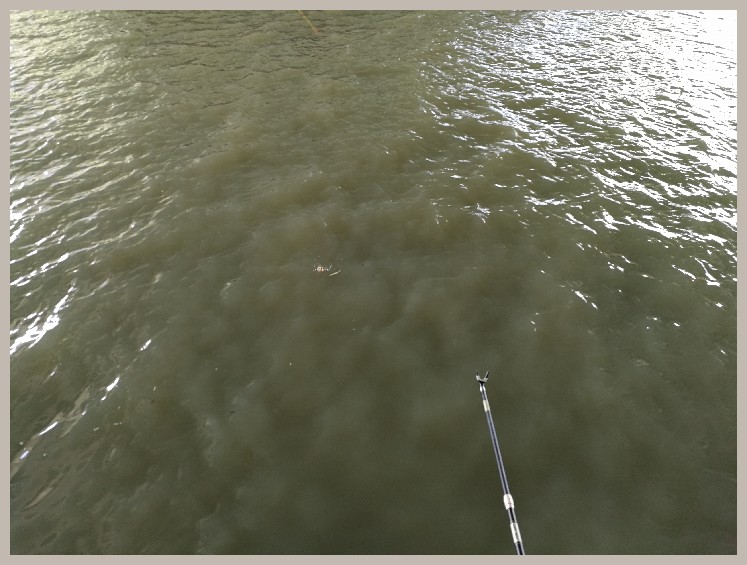 结伴同行首钓新城市高温也丰收